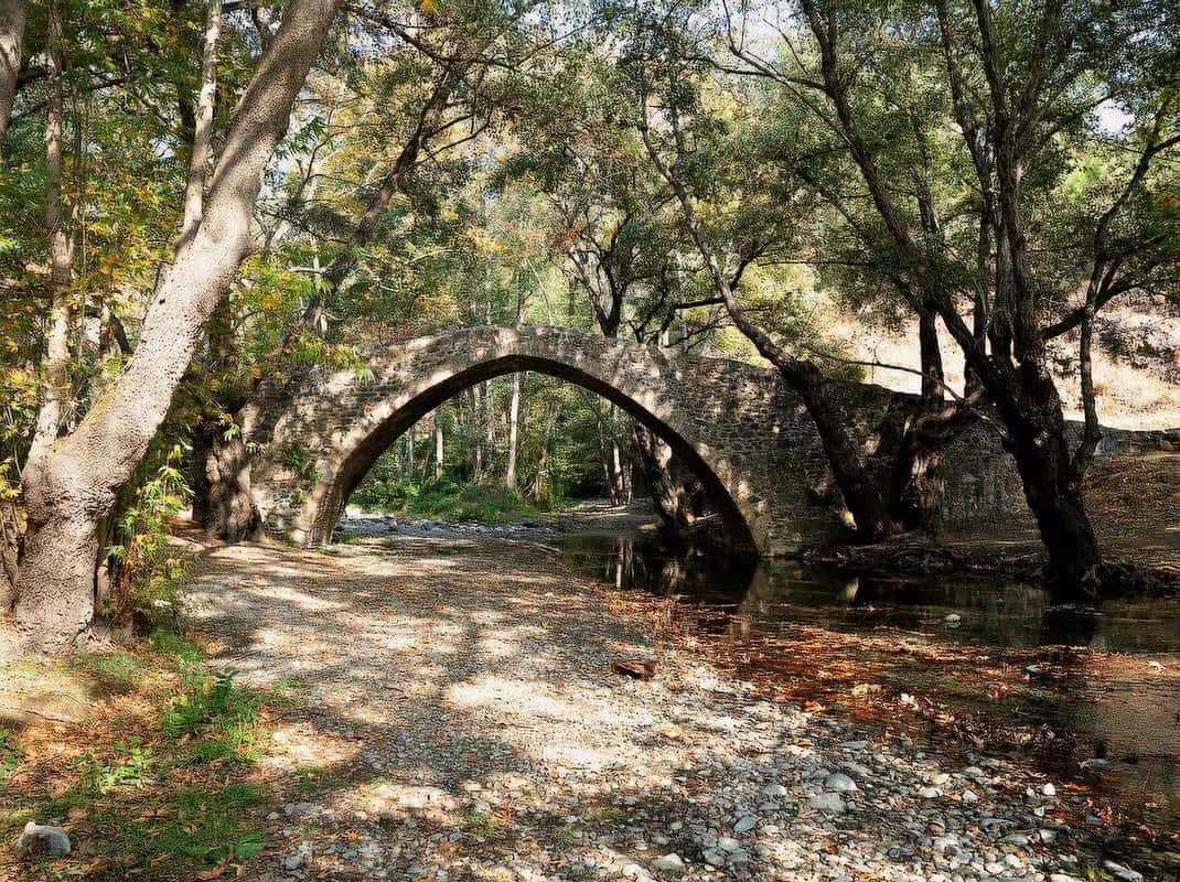 Scenic Troodos Mountain Tour with Local Wine
